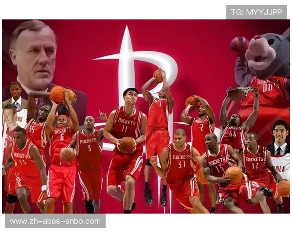 中国球迷对火箭队的整体评价如何体现