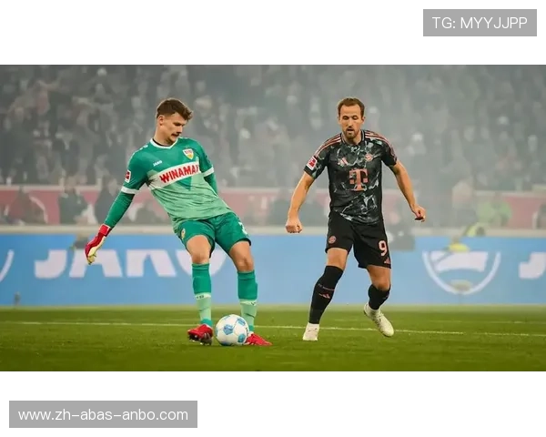 德甲2024赛季球队：未来赛季球队的期待与预测