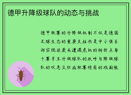 德甲升降级球队的动态与挑战